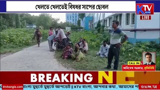 খেলতে খেলতেই বি*ষ*ধ*র সাপের ছোবল, প্রা*ণ গেল ৪ বছরের জ্যোতিকার
#SnakeBite #ChildDeath #VenomousSnake #FourYearOldChild #TragicIncident #Jyotika #SnakeAttack #VillageNews #LocalNews #BreakingNews #LatestNews #BanglaNews #সাপেরছোবল #শিশুমৃত্যু #বিষধরসাপ #চারবছরেরজ্যোতিকা #মর্মান্তিকঘটনা #বাংলারখবর #KTVBangla