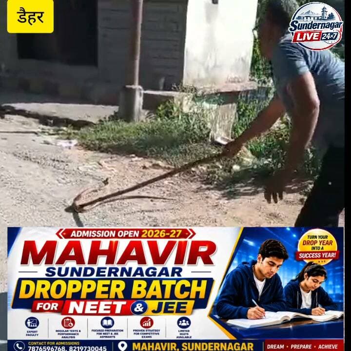 डैहर बाजार में निकला विशालकाय सांप ,दुकान में घुसा, दुकानदार ने कई घंटों की मेहनत के बाद सुरक्षित बाहर निकालते हुए किया आजाद।