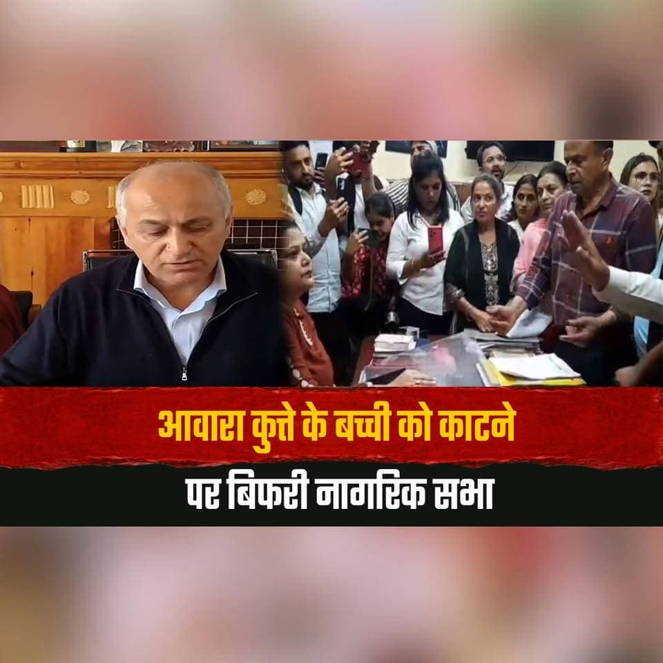 आवारा कुत्ते के बच्ची को का. टने पर बिफरी नागरिक सभा
मेयर ने कुत्तों से निपटने के दिए कड़े निर्देश
#Shimla #StrayDogs #CivicBody #Mayor #DogAttack #HimachalNews #thesummernewshimachal