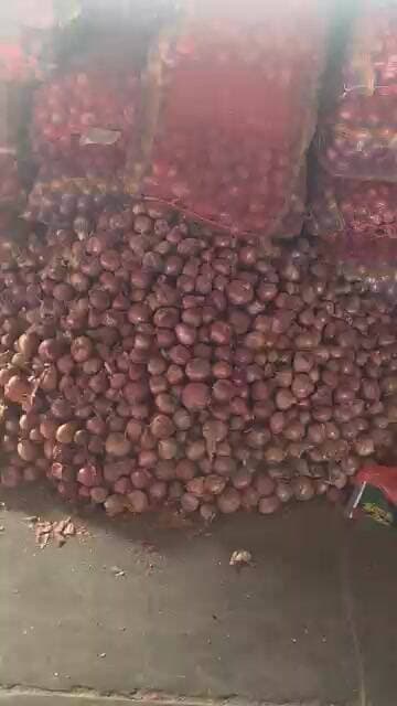 22 सितंबर 2026 आज का प्याज़ का भाव चकरपुर मंडी कानपुर #onionratetoday #onionmarket #delhimandi