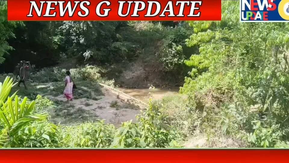 *কাগজে পাকা ব্রিজ, বাস্তবে বাঁশের সাঁকো *! এ চিত্র দক্ষিণ পদ্মবিল এলাকায় **!
#newsgupdate #foryouシ #engagement #nonfollowers