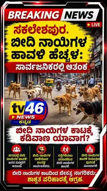 ಸಕಲೇಶಪುರ.ಬೀದಿ ನಾಯಿಗಳ ಹಾವಳಿ ಹೆಚ್ಚಳ ಸಾರ್ವಜನಿಕರಲ್ಲಿ ಆತಂಕ.ಬೀದಿ ನಾಯಿಗಳ ಕಡಿವಾಣ ಯಾವಾಗ?ಸಾರ್ವಜನಿಕರ ಪ್ರಶ್ನೆ.