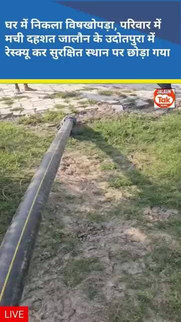 bishkhopda ka reskiu