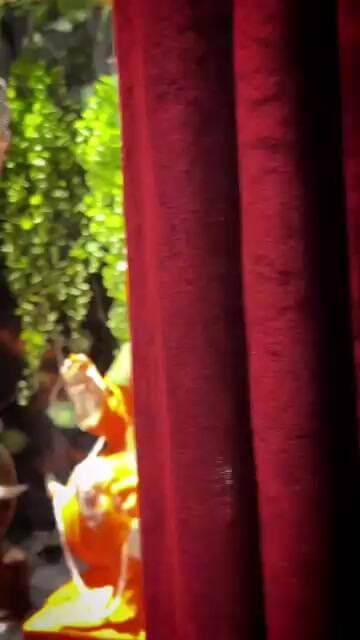 जय हनुमान ज्ञान गुण सागर #hanumanj #bajrangvali #ram #trending