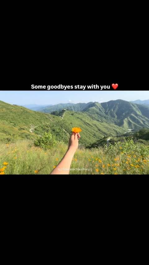 Some goodbyes stay with you ❤️
.
.
#valleyofflowers #orange #hearttouching