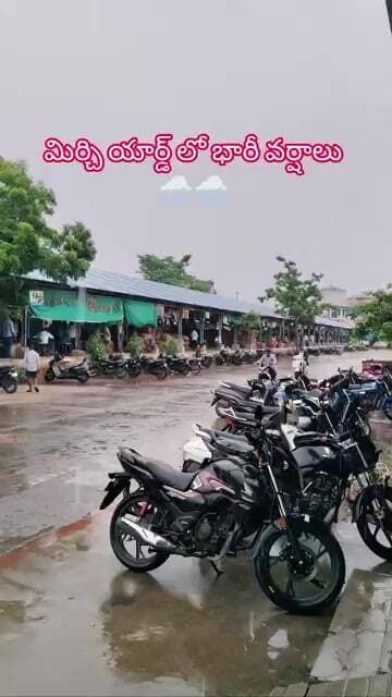 #బుధవారం గుంటూరు మిర్చి మార్కెట్ #subscribe #chilli #trendingshorts