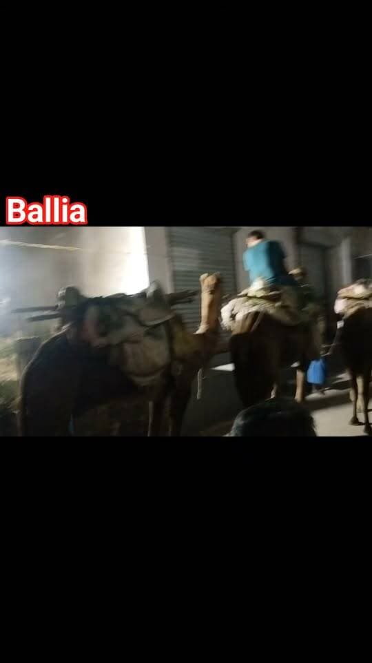 #बलिया जय बजरंगबली के जयघोष से गूंजा बेल्थरारोड, हजारों की भीड़ के बीच निकला भव्य महावीरी जुलूस और सकुशल हुआ संपन्न! मानस मंदिर महावीरी पूजा समिति और यूनाइटेड क्लब महावीरी पूजा समिति की ओर से रेलवे चौराहा से निकले जुलूस में भगवान शंकर, सीता-राम, बाल हनुमान, नीम करौली बाबा समेत अनेक धार्मिक झांकियों ने श्रद्धालुओं का मन मोहा। वहीं ऑनर किलिंग और टावर पर चढ़ते प्रेमी युगल जैसे सामाजिक मुद्दों पर आधारित झांकियां भी चर्चा का केंद्र रहीं। डीजे की भक्ति धुन, पवनसुत हनुमान के जयकारों और उमड़े जनसैलाब के बीच पूरा नगर देर तक भक्तिमय नजर आया। सुरक्षा में एसपी-एएसपी-सीओ समेत भारी पुलिस फोर्स और पीएसी तैनात रही।
#followerseveryone #nonfollowersviewers
#MahaviriJhanda
#BeltharaRoad
#HanumanBhakti
#BalliaNews
#MahaviriJuloos