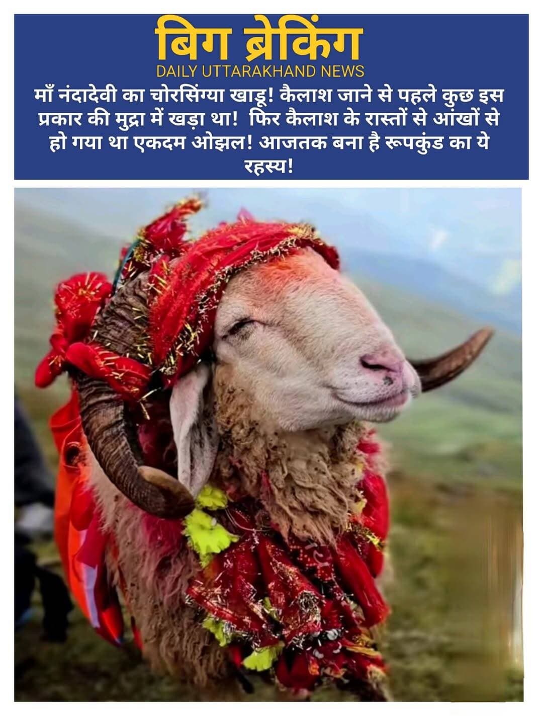 <nis:link nis:type=tag nis:id=नंदादेवी nis:value=नंदादेवी nis:enabled=true nis:link/> <nis:link nis:type=tag nis:id=बड़ीजात: nis:value=बड़ीजात: nis:enabled=true nis:link/> <nis:link nis:type=tag nis:id=चौरसिंग्या nis:value=चौरसिंग्या nis:enabled=true nis:link/> <nis:link nis:type=tag nis:id=खाड़ू nis:value=खाड़ू nis:enabled=true nis:link/> का <nis:link nis:type=tag nis:id=रहस्य! nis:value=रहस्य! nis:enabled=true nis:link/> <nis:link nis:type=tag nis:id=वैज्ञानिक nis:value=वैज्ञानिक nis:enabled=true nis:link/> और व्यावहारिक <nis:link nis:type=tag nis:id=दृष्टिकोण nis:value=दृष्टिकोण nis:enabled=true nis:link/> से देखा जाए, तो अत्यधिक ठंडी <nis:link nis:type=tag nis:id=बर्फ nis:value=बर्फ nis:enabled=true nis:link/> में अकेले छूट जाने पर किसी भी जीव के जीवित बचने की संभावना नहीं होती है। लेकिन <nis:link nis:type=tag nis:id=सांस्कृतिक nis:value=सांस्कृतिक nis:enabled=true nis:link/> और मानवीय दृष्टिकोण से, यह उत्तराखंड की 'खाड़ू' (चौसिंगा भेड़) से जुड़ी एक बेहद गहरी लोक-परंपरा और धार्मिक आस्था का हिस्सा है, जहाँ लोग उसे केवल एक पशु नहीं बल्कि शिव का दूत मानते हैं और उसके अंत को मोक्ष के रूप में देखते हैं। ।।जय मां नन्दा देवी।।🚩