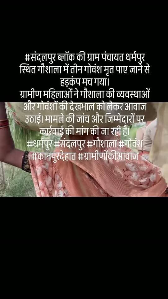 #संदलपुर ब्लॉक की ग्राम पंचायत धर्मपुर स्थित गौशाला में तीन गोवंश मृत पाए जाने से हड़कंप मच गया।
ग्रामीण महिलाओं ने गौशाला की व्यवस्थाओं और गोवंशों की देखभाल को लेकर आवाज उठाई। मामले की जांच और जिम्मेदारों पर कार्रवाई की मांग की जा रही है।
#धर्मपुर #संदलपुर #गौशाला #गोवंश कानपुरदेहात ग्रामीणोंकीआवाज