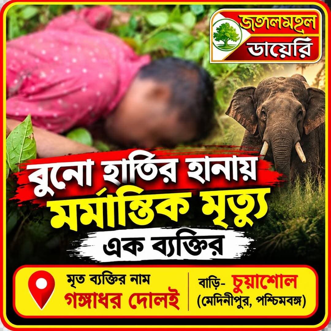 <nis:link nis:type=tag nis:id=breakingnews nis:value=BreakingNews nis:enabled=true nis:link/> <nis:link nis:type=tag nis:id=elephantattack nis:value=ElephantAttack nis:enabled=true nis:link/>