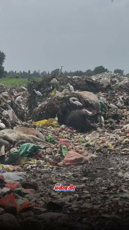 🚨 हरदा के टीचिंग ग्राउंड में कचरे को लेकर विवाद!
स्थानीय लोगों ने कचरा गाड़ी रोककर विरोध जताया। लोगों का आरोप है कि कचरे के बीच 3 से अधिक गौवंश के शव मिले और जेसीबी से उन्हें दबाने का प्रयास किया गया।
गंदगी, बदबू और रास्ते पर फैले कचरे को लेकर भी लोगों में नाराजगी है। पुलिस मौके पर पहुंची, जबकि स्थानीय लोग प्रशासनिक अधिकारी के पहुंचने का इंतजार करते रहे।
⚠️ गौवंश के शवों और जेसीबी से दबाने के आरोपों की वास्तविक स्थिति प्रशासनिक जांच के बाद ही स्पष्ट होगी।
📍 हरदा | टीचिंग ग्राउंड
#Harda #HardaNews #BreakingNews #AnokhaHarda #MadhyaPradesh