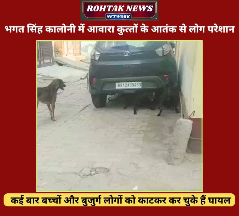 भगत सिंह कालोनी में आवारा कुत्तों के आतंक से लोग परेशान, प्रशासन नहीं दे रहा है ध्यान।
#rohtaknews #rohtakcity #haryana #dogs #badnews