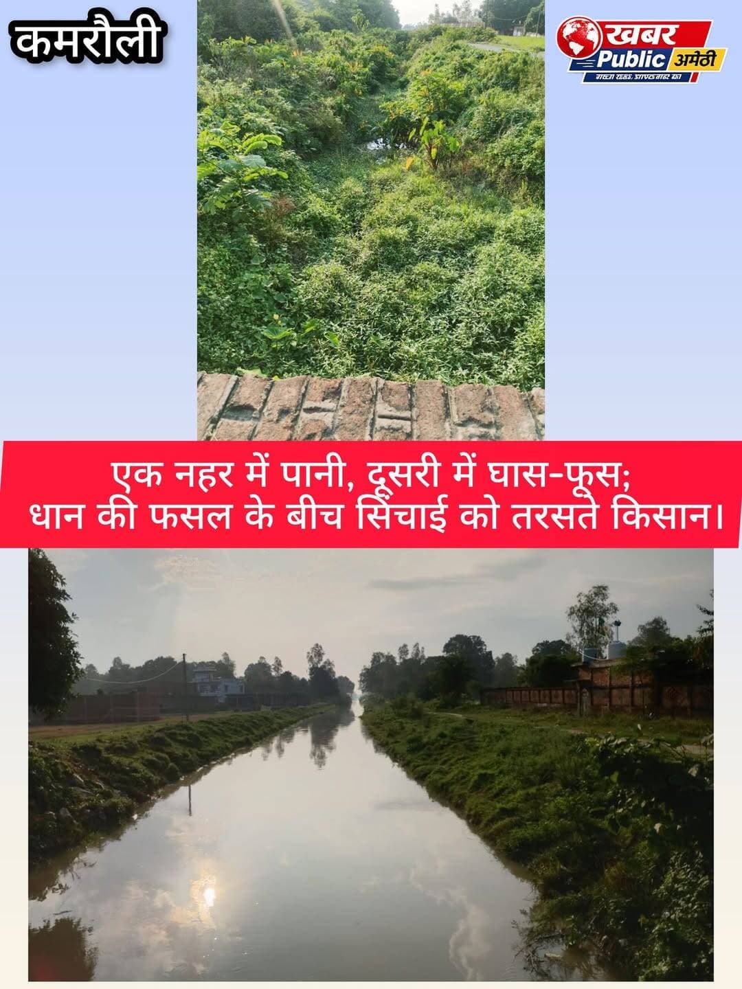 जगदीशपुर के पलिया पश्चिम क्षेत्र में दो नहरें, दो तस्वीरें!
एक में पानी बह रहा, दूसरी में घास-फूस का कब्जा। धान की फसल पकने को तैयार, लेकिन किसानों के सामने सिंचाई का संकट—आखिर पानी मिलेगा कब?
हालात पर यही कहावत सटीक—“का बरखा जब कृषि सुखानी।”
DM Amethi शरद द्विवेदी Kishori Lal Sharma Akeel Ahmad