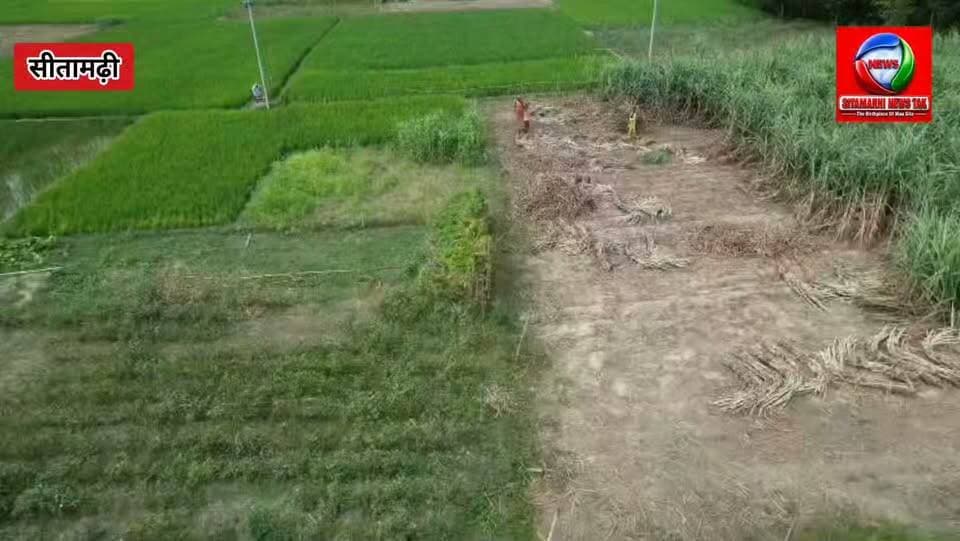बैद्यनाथ महतो हत्याकांड में बड़ी कार्रवाई,त्रिभुवन गिरफ्तार, केथरिया चौर में रातभर पुलिस की घेराबंदी, एजाज की तलाश में ड्रोन से कॉम्बिंग ऑपरेशन