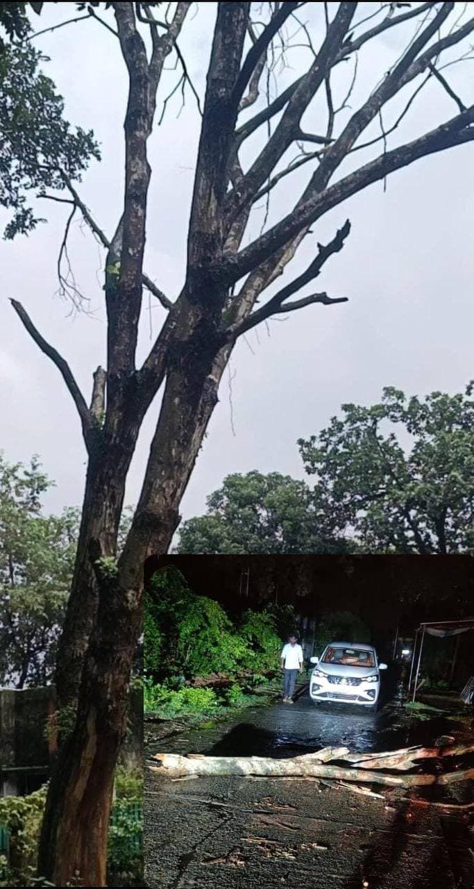कोडरमा: जिला मुख्यालय स्थित पानी टंकी मोड़, जलवाबाद मोड़ के समीप सूखा पेड़ का एक भारी डाली सड़क पर गिर गया। डालियों के सड़क पर गिरने से आवागमन बाधित हो गया। वहीं सड़क किनारे सुखा पेड़ एक बड़ी घटना को आमंत्रित कर रहा है और कभी भी 11 हजार तार पर गिर सकता है।