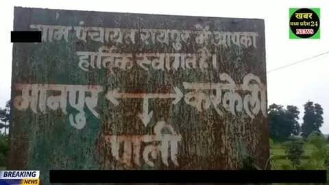 ग्राम रायपुर में हाथियों के झुंड में फसलों को किया चौपट