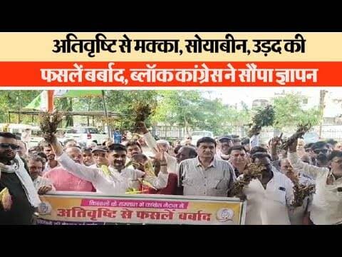 अतिवृष्टि से मक्का, सोयाबीन, उड़द की फसलें बर्बाद, ब्लॉक कांग्रेस ने सौंपा ज्ञापन #narsinghpurnews