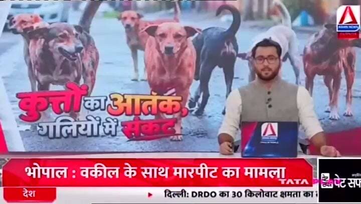 किंदरई-केदारपुर में आवारा कुत्तों का आतंक, 6 लोगों को काटा
Asian News Madhya Pradesh
