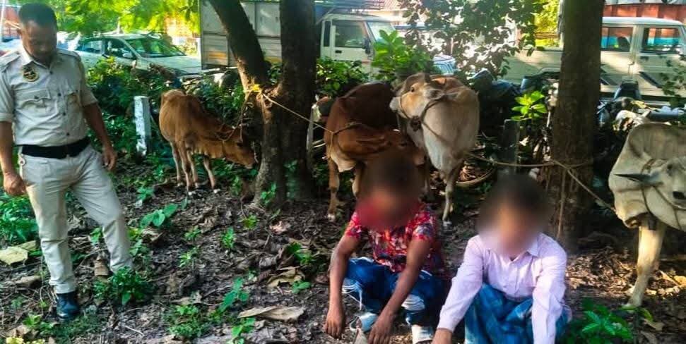 কোকরাঝাড়ে দুটি পৃথক অভিযানে অবৈধভাবে গরু সড়কপথে পাচারের অভিযোগে ৫টি গরু জব্দ এবং ৬ জনকে আটক করেছে পুলিশ।
অবৈধ গবাদি পশু পাচারের বিরুদ্ধে কোকরাঝাড় পুলিশের এই অভিযানকে ঘিরে প্রশংসা করেছেন অনেকেই।
#KokrajharPolice #AssamPolice #Kokrajhar #গরুপাচার #গরুসরবরাহ #পুলিশঅভিযান #AssamNews #BarakNews #NewsUpdates