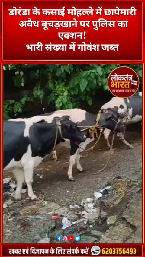 डोरंडा के कसाई मोहल्ले में छापेमारी
अवैध बूचड़खाने पर पुलिस का एक्शन!
भारी संख्या में गोवंश जब्त
छापेमारी के दौरान भारी विरोध
#Ranchi #RanchiNews #Jharkhand #JharkhandNews #RanchiPolice #Doranda #DorandaNews #PoliceAction #PoliceRaid #BreakingNews #LatestNews #BigAction #CowRescue #GauVansh #GauVanshJabti #IllegalSlaughterhouse #PoliceActionRanchi #JharkhandPolice #ViralNews #TrendingNews #BreakingJharkhand #RanchiBreakingNews #LoktantraBharat #लोकतंत्रभारत #रांची #झारखंड #रांचीपुलिस #डोरंडा #बड़ीकार्रवाई #ब्रेकिंगन्यूज