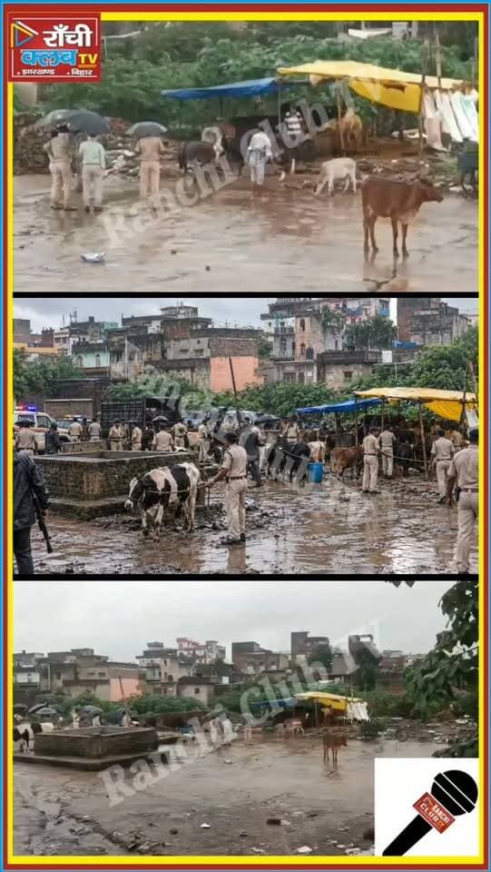 डोरंडा में पुलिस की बड़ी कार्रवाई | भारी संख्या में गो*वं*श बरामद | Ranchi News Today
#RanchiNews #Ranchi #Doranda #DorandaNews #RanchiPolice