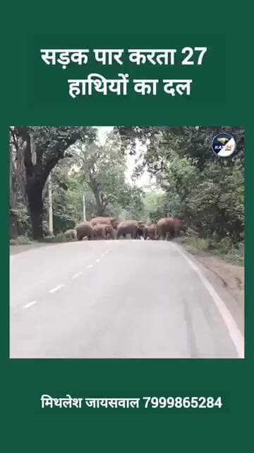 सड़क पार करता 27 हाथियों का दल #LatestNews #news #viral