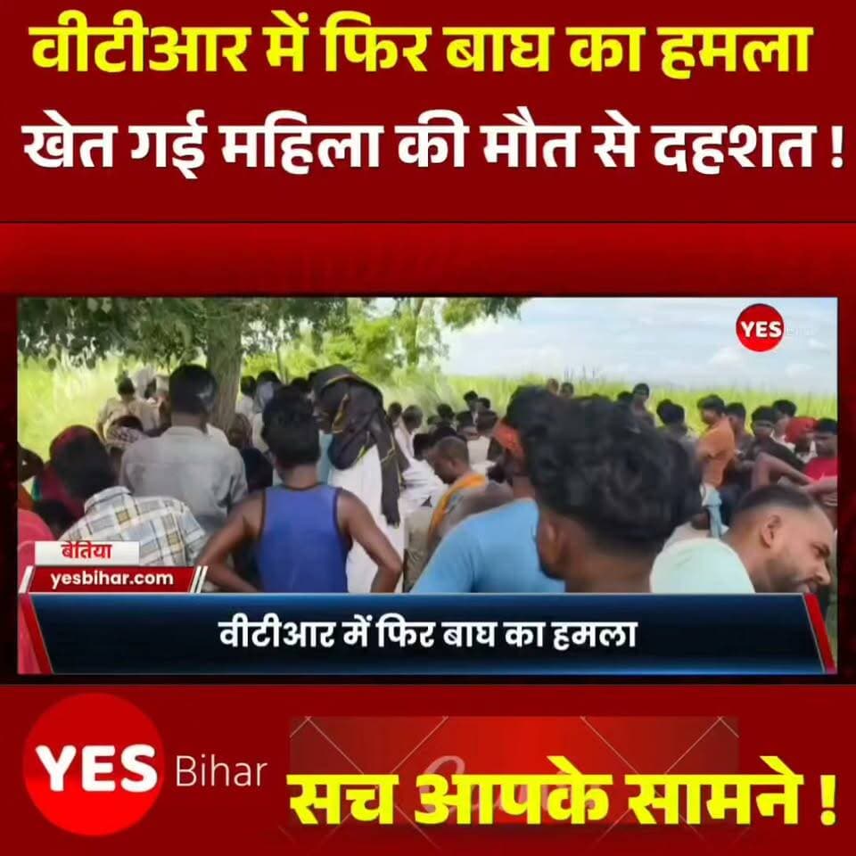 Bihar news : अगर आपको यह खबर महत्वपूर्ण लगी हो तो इसे ज्यादा से ज्यादा लोगों तक पहुंचाएं। ऐसे ही स्थानीय और ताजा खबरों के लिए हमारे पेज को फॉलो करें और नोटिफिकेशन ऑन रखें। आपके आसपास वन्यजीवों की गतिविधि, बाघ या अन्य जंगली जानवरों से जुड़ी कोई घटना सामने आती है तो उसकी जानकारी हमें जरूर दें। इस खबर को अपने दोस्तों और आसपास के लोगों के साथ शेयर करें, ताकि ग्रामीण क्षेत्रों में रहने वाले लोग सतर्क रहें और सावधानी बरत सकें। ताजा अपडेट के लिए हमारे साथ जुड़े रहें और खबरों को लाइक, कमेंट और शेयर करना न भूलें।
#VTR #ValmikiTigerReserve #TigerAttack #TigerAttackInBihar #WestChamparan #BiharNews #BagahaNews #MadanpurForest #Naurangia #PachrukhaSirisya #TigerNews #WildlifeNews #BreakingNews #BiharBreakingNews #LocalNews #LatestNews #NewsUpdate #TigerInVillage #WildlifeSafety #ForestDepartment