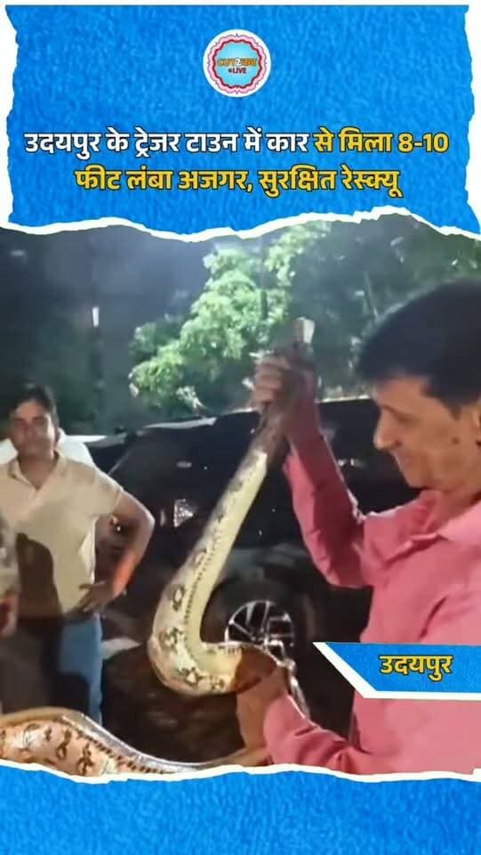 उदयपुर। शहर के ट्रेजर टाउन क्षेत्र में खड़ी एक कार के अंदर करीब 8 से 10 फीट लंबा अजगर मिलने से हड़कंप मच गया। सूचना मिलते ही वन्यजीव संरक्षक राजेंद्र श्रीमाली मौके पर पहुंचे और भारी मशक्कत के बाद अजगर का सुरक्षित रेस्क्यू किया।
बारिश के मौसम में भोजन और सुरक्षित ठिकाने की तलाश में अक्सर वन्यजीव रिहायशी इलाकों का रुख कर लेते हैं। विशेषज्ञों ने अपील की है कि वाहनों या घरों में सांप-अजगर दिखने पर उन्हें खुद पकड़ने के बजाय तुरंत प्रशिक्षित रेस्क्यू टीम को सूचित करें ताकि हादसों से बचा जा सके।
#UdaipurNews #PythonRescue #TreasureTown #SnakeRescue #UdaipurDiaries