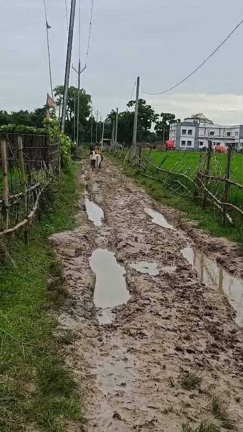 पंचायत सरकार भवन की कच्ची सड़क बदहाल, ग्रामीण परेशान
टेढ़ागाछ। डाकपोखर पंचायत में प्रधानमंत्री सड़क से पंचायत सरकार भवन तक जाने वाली कच्ची सड़क बदहाल है। जलजमाव और कीचड़ के कारण ग्रामीणों को आवागमन में परेशानी हो रही है। बरसात में स्थिति और गंभीर हो जाती है। मनोज कुमार सिंह, प्रदीप कुमार गिरी सहित ग्रामीणों ने सड़क पक्कीकरण की मांग की। पूर्व भाजपा प्रखंड अध्यक्ष रवि कुमार दास ने भी प्रशासन से शीघ्र सड़क निर्माण कराने की मांग की।
