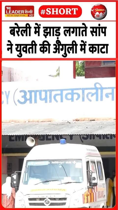 खेत में चारा काटने गई महिला को भी डसा | 24 Sep 2026 | #bareilly #snake #bite #shorts