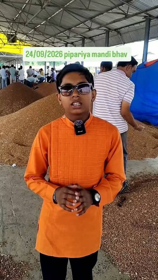 24/09/2026: pipariya mandi bhav #viral #pipariya #mandi #september