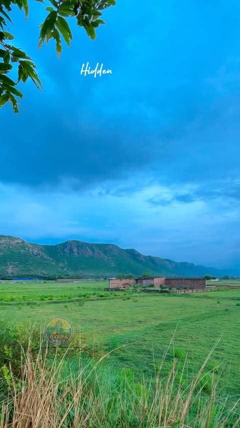 Hidden heaven of apna rajgir …🥰 #pyararajgir #rajgir #rajgirtrip