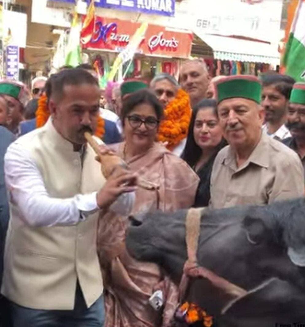 सोलन : कांग्रेस का अनोखा प्रदर्शन, भैंस के आगे बीन बजाकर केंद्र को दिया संदेश
