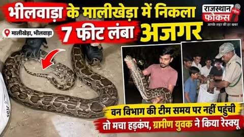 🐍 भीलवाड़ा के मालीखेड़ा में निकला 7 फीट लंबा अजगर!
मांडल क्षेत्र के पीथास ग्राम पंचायत के मालीखेड़ा गांव में बुधवार रात बस स्टैंड के पास करीब 7 फीट लंबा अजगर दिखाई देने से ग्रामीणों में हड़कंप मच गया। अजगर को देखने के लिए मौके पर बड़ी संख्या में लोग जमा हो गए।
ग्रामीणों के अनुसार, वन विभाग को सूचना देने के बावजूद टीम के पहुंचने में समय लगा। इसी दौरान अजगर आबादी क्षेत्र की ओर बढ़ने लगा।
स्थिति को देखते हुए पीथास निवासी सोनू बलाई पुत्र खेमराज बलाई ने तत्परता दिखाते हुए अजगर का रेस्क्यू किया और बाद में उसे वन विभाग की टीम को सौंप दिया। वन विभाग ने अजगर को सुरक्षित स्थान पर ले जाकर जंगल में छोड़ दिया।
ग्रामीणों ने सोनू की तत्परता की सराहना की। हालांकि, वन्यजीवों को पकड़ने के बजाय विशेषज्ञों/वन विभाग को सूचना देने की अपील की गई।
📍 मालीखेड़ा, मांडल, भीलवाड़ा
📰 राजस्थान फोकस | आपके शहर की हर खबर
#भीलवाड़ा #मांडल #मालीखेड़ा #अजगर #अजगररेस्क्यू
