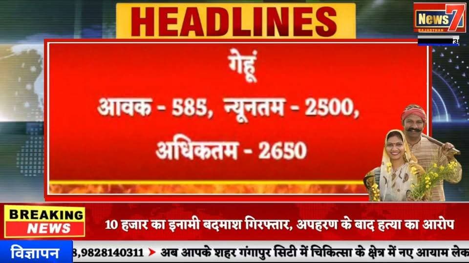 #mandibhaav गंगापुर सिटी अनाज मंडी के भाव #gangapurcity #mandiseeds #news7rajasthan #todaynews