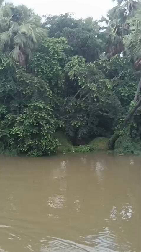 पुल से तमसा नदी में छलांग लगा रहे बच्चे, तेज बहाव के चलते हादसे का बना है खतरा, नहीं कोई रोकने टोकने वाला, वीडियो हो रहा वायरल
आजमगढ़
https://abckhabar.in/?p=8527
