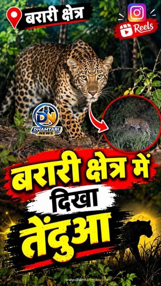 बरारी और कोटाभर्री क्षेत्र में दिखा तेंदुआ.....सावधानी बरतने वन विभाग ने किया अलर्ट.....
#alert #bararimedikhatendua #tendua #dhamtarinews #bararikotabharri