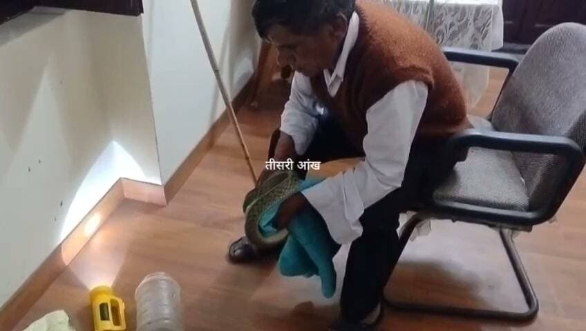 अपर मुख्य जिलाधिकारी की आवास में घुसा सांप घंटे की मशक्कत के बाद जगदीश भाई ने पकड़ा सांप