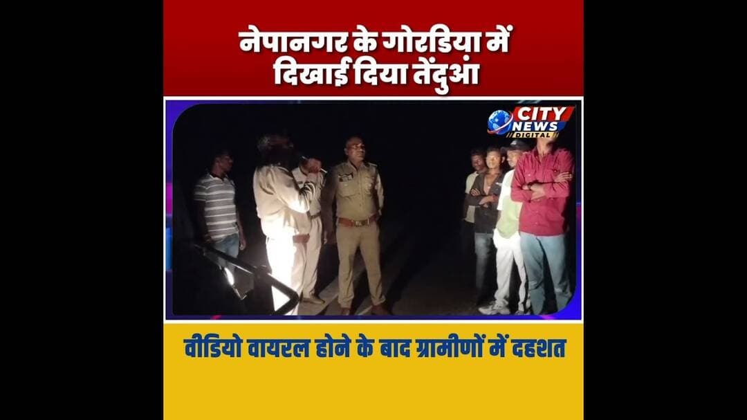 नेपानगर के गोरडिय़ा में दिखाई दिया तेंदुआ, वीडियो वायरल होने के बाद ग्रामीणों में दहशत Burhanpur