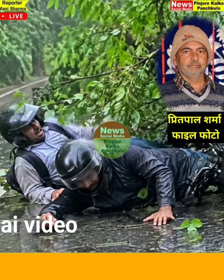 मौत का समय किसी को पता नहीं होता अनहोनी कब और कहां हो जाए कोई नहीं जानता
पिंजौर में दर्दनाक हादसा पेड़ का तना गिरने से स्थानीय निवासी की मौत।
Like /comment /share / follow instagram and you tube subscribe
https://nsmpkp.com News Social Media Pinjore Kalka Panchkula Reporter mani Pinjore / kalka 25-9-2026,
my E-mail:manisharma4009@ gmail.com what's app no:-9896944009
https://www.instagram.com/reel/DdsgFs_TBtb/?stkn=MTZ5MmF6aDRvM3lm
https://youtube.com/shorts/rTfnwppN5Eo?si=jaUAI4_xcmq3Xcic