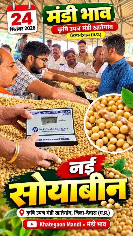 24 सितंबर 2026 | मंडी भाव | कृषि उपज मंडी खातेगांव, जिला-देवास (म.प्र.) Khategaon Mandi • मंडी भाव