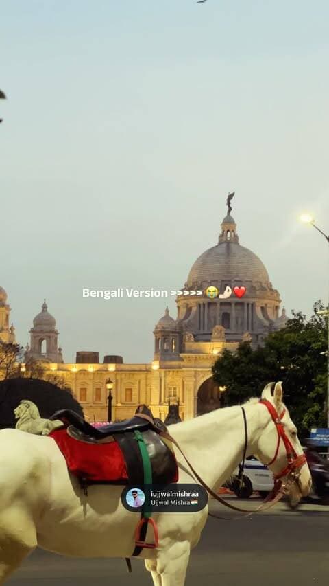 Kolkata- the city of joy 🤩
Follow @iujjwalmishraa
#kolkatadiaries #explore #howrahbridge #explorepage #victoriamemorial