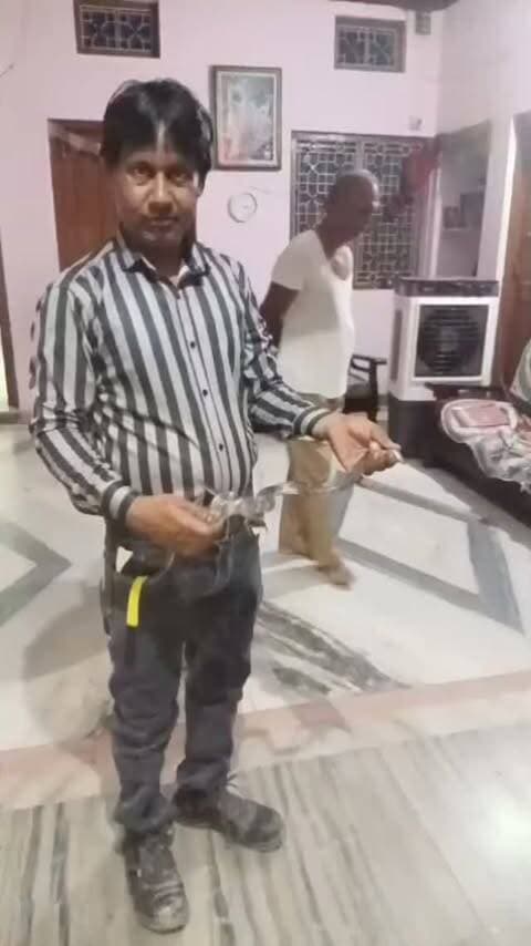 🌙 धनेत कलां में पंडित परिवार के कमरे के अंदर पहुंचा कॉमन करैत, सर्प प्रेमी रमेश चंद्र ने सुरक्षित किया रेस्क्यू 🐍