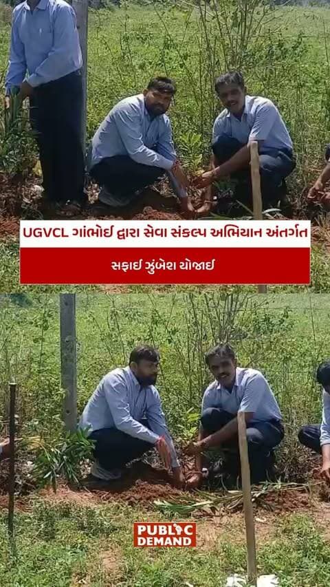 સાબરકાંઠા UGVCL ગાંભોઈ દ્વારા સેવા સંકલ્પ અભિયાન અંતર્ગત સફાઈ ઝુંબેશ યોજાઈ