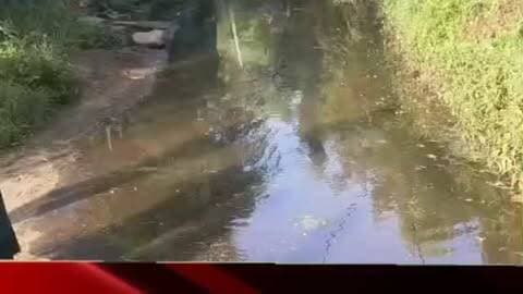 ग्राम जावदी में प्रधानमंत्री सड़क पर अतिक्रमण, सरपंच ने तहसीलदार से कार्रवाई की मांग