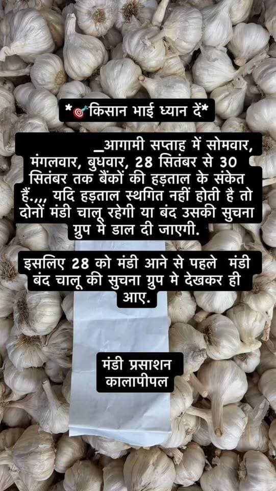 *🎯किसान भाई ध्यान दें*
_आगामी सप्ताह में सोमवार, मंगलवार, बुधवार, 28 सितंबर से 30 सितंबर तक बैंकों की हड़ताल के संकेत हैं.,,, यदि हड़ताल स्थगित नहीं होती है तो दोनों मंडी चालू रहेगी या बंद उसकी सुचना ग्रुप मे डाल दी जाएगी.
इसलिए 28 को मंडी आने से पहले मंडी बंद चालू की सुचना ग्रुप मे देखकर ही आए.
मंडी प्रसाशन
कालापीपल
#viralreels #viralreelsvideo #trending #reelkarofeelkaro #mandibhavkalapipal