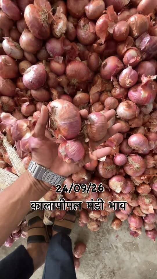 #viralreels #viralreelsvideo #trending #reelkarofeelkaro #mandibhavkalapipal