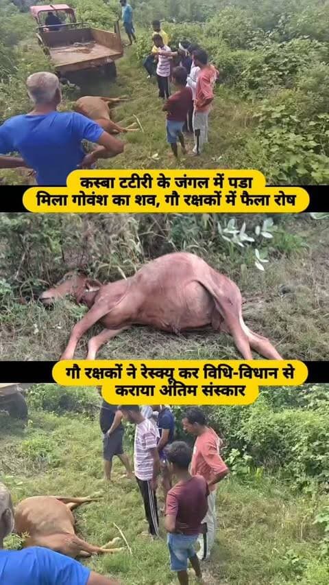 #baghpat #news #newsupdate #viralvideos #newpost