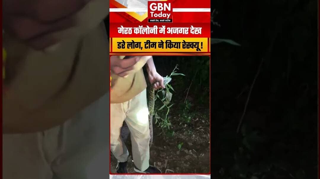 मेरठ कॉलोनी में अजगर देख डरे लोग, टीम ने किया रेस्क्यू #Meerut #PythonRescue #UPNews #Breaking