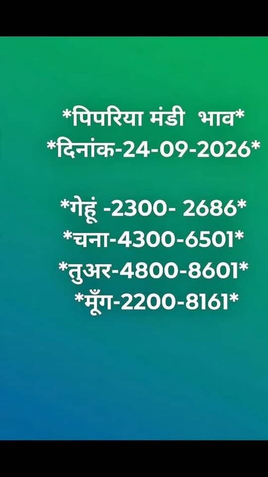 Pipariya mandi bhav 24/09/2026
